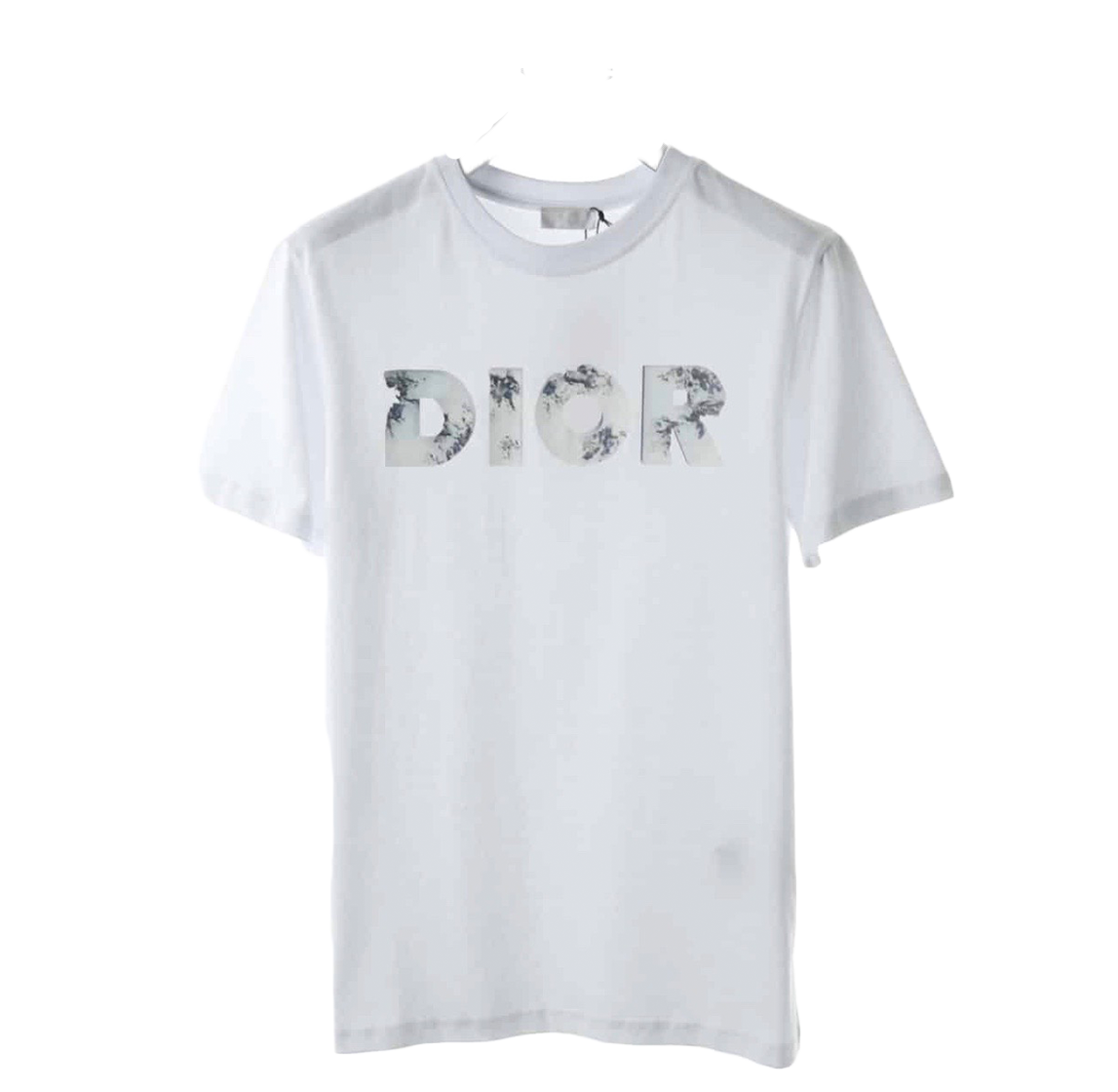 DIOR X Daniel Arsham