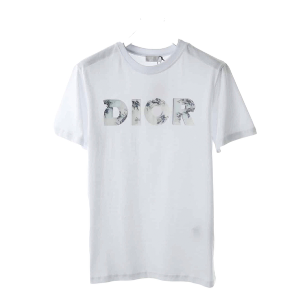 DIOR X Daniel Arsham