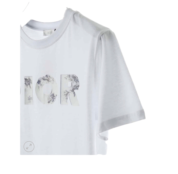 DIOR X Daniel Arsham